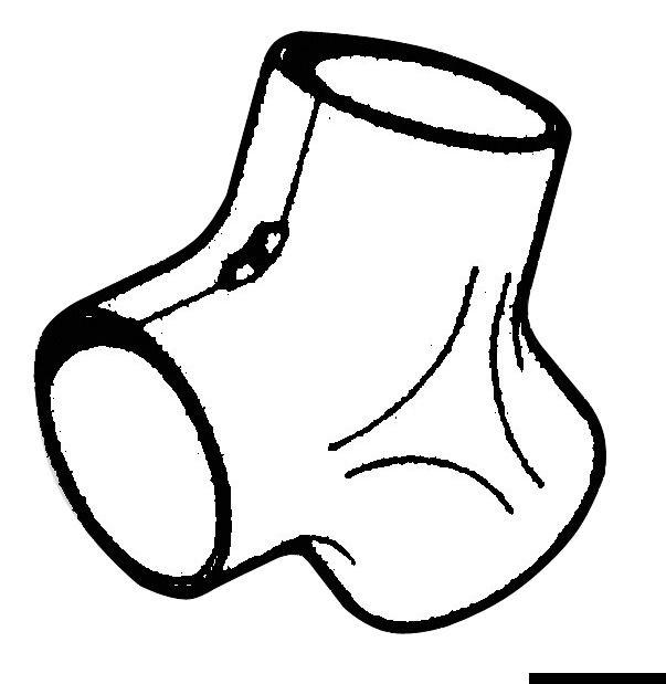 Raccordo a Y per canalizzazione aria