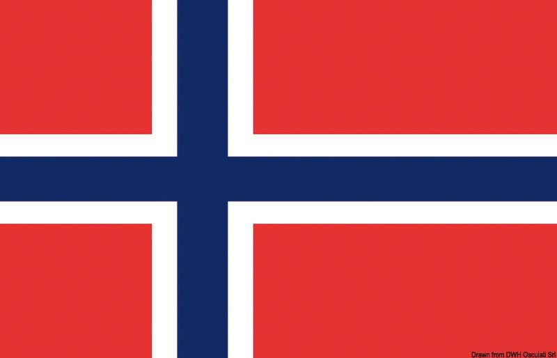 Bandiera Norvegia 20 x 30 cm