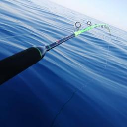 AKAMI MANTA ACID RODS - 8-16