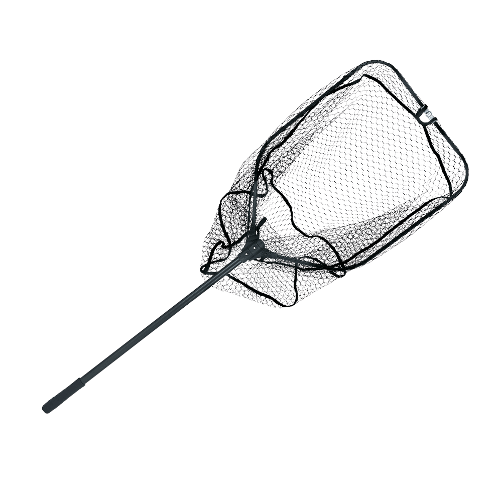 SELE GUADINO LANDING