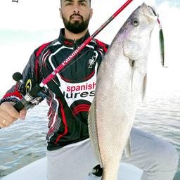 SPANISH LURES SEAVARA PAIXON