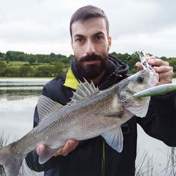 SPANISH LURES SPARROW - STRIPED SHAD