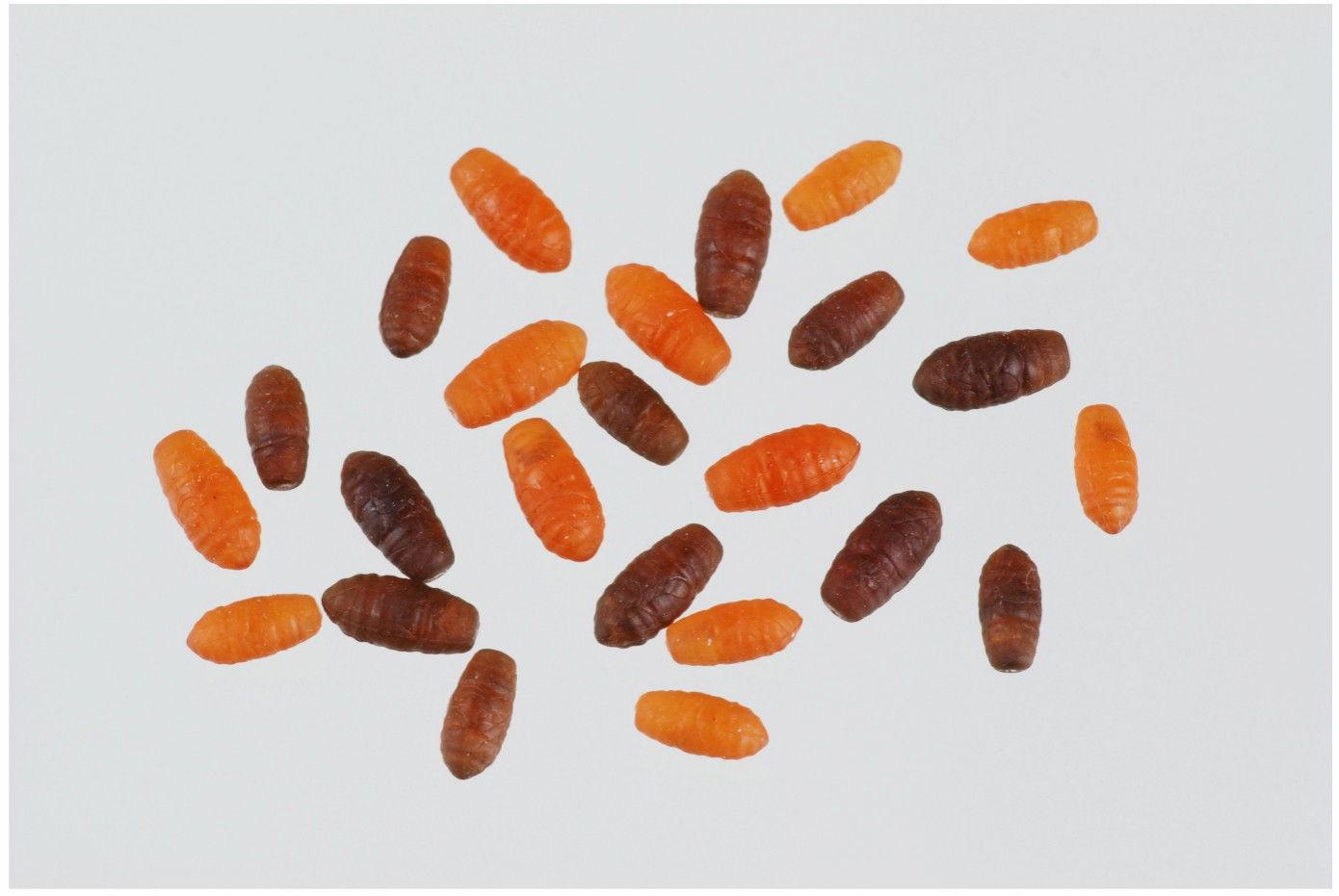 STONFO SYNTHETIC CASTERS