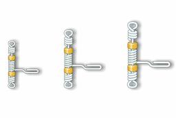 STONFO TRIPLO ATTACCO - 1