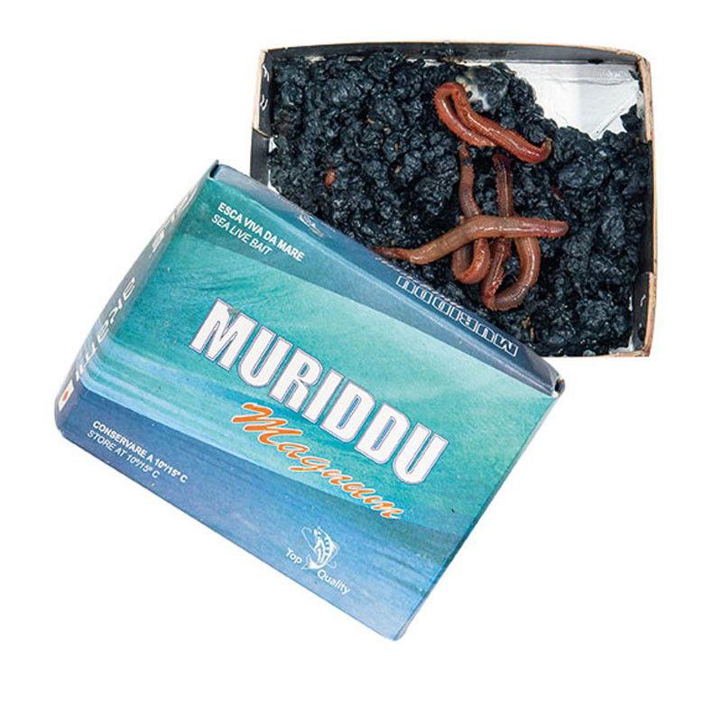 TAKE ME BAITS MURIDDU MAGNUM