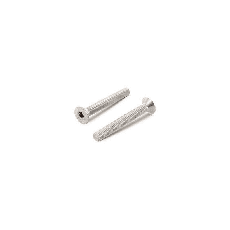 VITE TESTA PIANA SVASATA CAVA ESAGONALE ISO 10642 A4