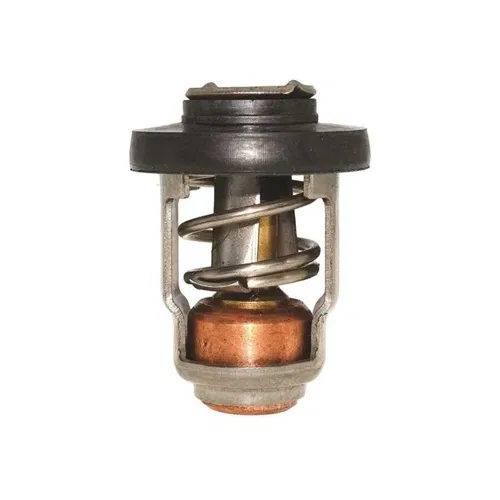 VALVOLA TERMOSTATICA PER MERCURY 8-90 HP