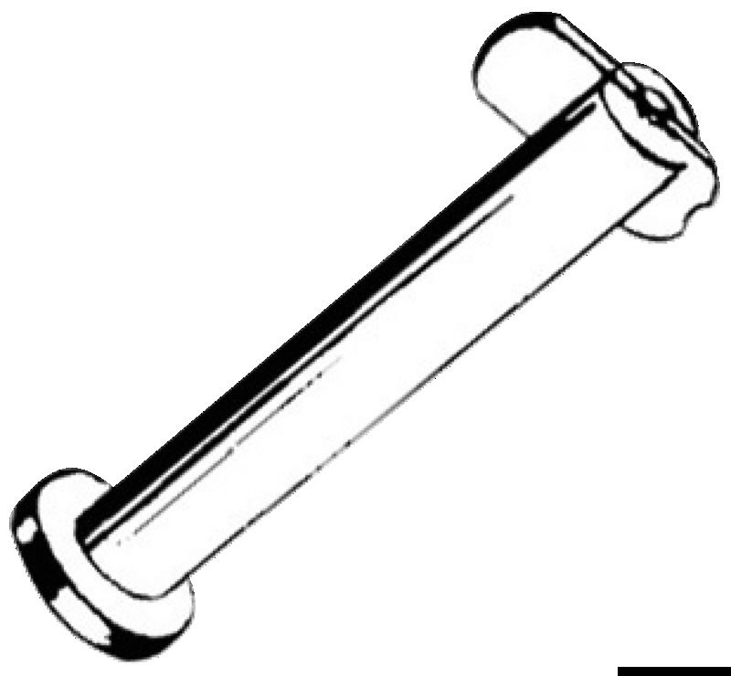 In acciaio inox, con linguetta a molla ruotante.