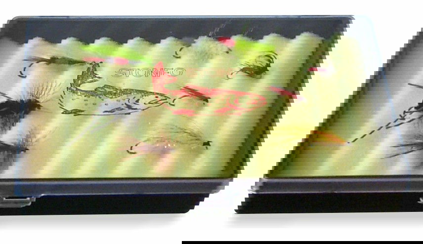 Scatola infrangibile per mosche con fondo in gomma ondulato e coperchio trasparente. Dimensioni mm 150x100x20. Busta da 1 pezzo, confezione da 6 buste.